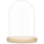 Belle Vous Large Glass Dome Cloche Bell Jar with Natural Wooden Base - 20cm/7.87 Inches - Clear Decorative Tabletop Display Case with Tray for Fairy Lights, Centrepieces and Antiques