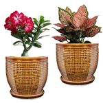 PLANTORI Small Ceramic Pots with Trays/Plates for Indoor Plants, Bonsai, Cactus | Planters for Living Room | Pots for Home Decoration (Brown Flower Pots Ceramic, Set of 2, 4.8 inches)