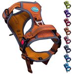 Dog Harness With Front And Back Clip