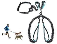 Hands Free Dog Leash, Double Dog Leash, Waist Dog Running Leash for Comfortable Walking Jogging Training Hiking, Long Padded No Tangle 360° Swivel Clasp Adjustable Dual Dog Lead Leashes