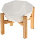 White with Stand Ceramic Tilted Elevated Raised Pet Bowl with Bamboo Stand for Cats and Dogs No Spill Pet Food Water Feeder