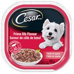 CESAR Filets in Sauce Wet Dog Food - Prime Rib Flavour - 100g (24 Pack)