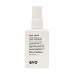 Evo Root Canal Volumizing Spray - Texture Boost Supports Roots Natural Thickening Lightweight Hair Styling Spray - 1.7 fl.oz