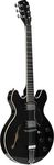 Stagg 6 String Hollow-Body Electric Guitar, Right, Full (SVY 533 BK)