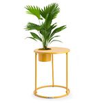 blumfeldt Round Coffee Table with Planter, Small Coffee Tables for Living Room, Stainless Steel Small Side Table Living Room, Modern Tea Table w/Removable Pot Plant, Industrial Coffee Table, Yellow