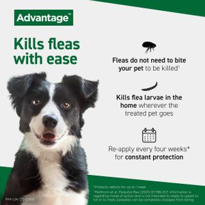 Advantage Flea Treatment for Large Dogs – Fast-Acting Spot-On Solution
