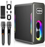 Karaoke Machine with 2 Wireless Mic