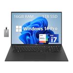 LG gram 17" WQXGA Lightweight Business Laptop, 13th Gen Intel Core i7-1360P, 16GB LPDDR4X RAM, 1TB PCIe SSD, Intel Iris Xe, Backlit Keyboard, Wi-Fi 6E, Win 11 Pro, Black, 32GB Hotface USB Card