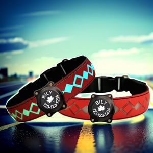 Personalized Flashing Night Dog Collar with Waterproof airtag Holder for Black Dog Night Walking (RED, M(11.8-15.7"))