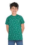 Allen Solly Boy's Graphic Print Regular Fit T-Shirt (ABKCCRGBJ58095_Green 4 | 3-4 Years)