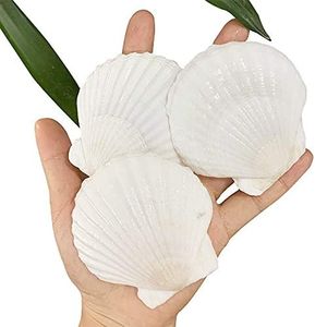 SEAJIAYI 3