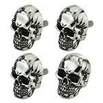 Arenbel Skull License Plate Bolts Car Frame Screws Tag Fasteners Kit Fit Vehicles Motorcycle Trucks SUV, 4Pcs Silver