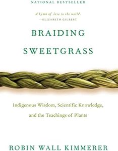 Braiding S