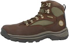 Timberland Men's Chocorua Trail Mid