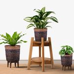 DENOVA Handmade Fabric Planter, Seagrass Sabai Grass Jute Basket Gamla for Indoor Outdoor Balcony Terrace Garden Bedroom Living Room Home Décor Round Flower Pot Storage Bin Plant Container (Pack of 3)