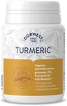 DORWEST HERBS Turmeric Tablets for dogs and cats , 200 tablets, 14DOR057