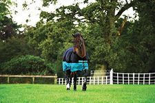 Horseware Ireland Mio Turnout Lite 0g [Black/Turquoise] [6'6"] AASA41