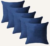 Amazon Brand - Umi Velvet Decorative Cushion Cover 12x12 Inch - Set of 5, Soft Solid Square Throw Pillow Covers for Sofa, Living Room or Home Decor - 30x30 cm in Blue Color