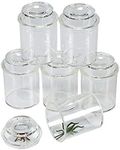 See Through Bug Box Jars - 10 Pieces - Science Educational and Learning Activities for Kids