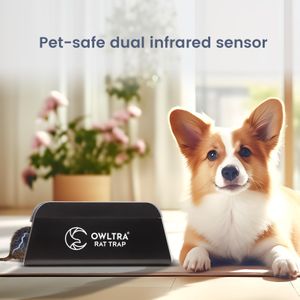 OWLTRA Indoor Electric Rat Trap – Humane High-Voltage Rodent Killer