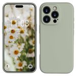 HGH For 16 Pro Phone Case, Agave Green