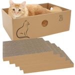 Cat Scratch Box