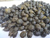 NG Farms Goat Dry Dung pellets for All Type of Plants (1KG)