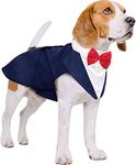 Puptail Dog Suit or Dog Tuxedo and Bandana Set, Dogs Wedding Party Suit, Dog Clothes Bow Tie, Dog Dresses for Small, Medium and Large Female Dogs Golden Retriever, Labrador, shitzu, Pug (M, Blue)