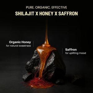 Anecdote Himalayan Shilajit Honey Sticks – Natural Energy Supplement