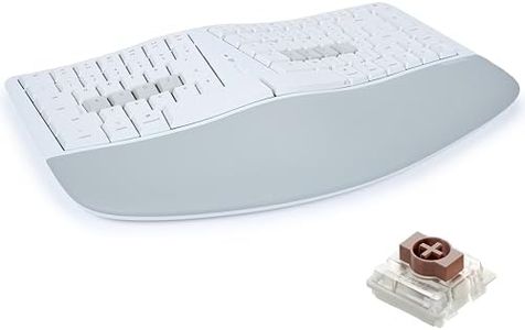KINESIS mW