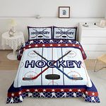 Ice Hockey Full Size Comforter Set,Ice Hockey Sticks Bedding Set for Adults Teens,Children Winter Sports Comforter Luxury Navy and Red Quilt Set Room Decor 3Pcs