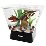 Tetra Betta Fish Aquarium Kit, 1 Gallon Cubed Fish Tank with Stand, Includes 4 LED Lights