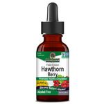 Nature's Answer, Hawthorn Extract, Alcohol Free, Vegan Drops, 30ml, Gluten Free, Soy Free, Vegetarian, Non-GMO