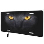 Beabes Cat with Golden Eyes Front License Plate Cover,Cool Animal Black Cat Decorative License Plates for Car,Aluminum Novelty Auto Car Tag Vanity Plates Gift for Men Women 6x12 Inch