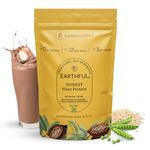 Earthful Honest Plant Protein | 24g Protein/Serving & 4.9g BCCAs | For Weight Management, Energy, Muscle Support & Recovery | Made with Pea & Brown Rice | Indonesian Cocoa - 504g