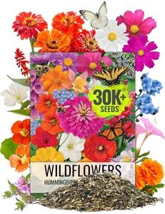 Seed Needs, Large 2 Ounce Package of 30,000+ Hummingbird and Butterfly Garden Wildflower Seed Mixture for Planting (99% Pure Live Seed- NO Filler) 20+ Varieties, Annual Perennial - Bulk