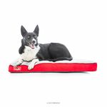 BRINDLE Soft Shredded Memory Foam Dog Bed with Removable Washable Cover, red, 34in x 22in