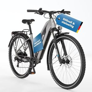 Fischer E-ATB Terra 2.2 Active, Elektrofahrrad für Damen und Herren, RH 45, 459Wh, Heckmotor 50Nm, 48V