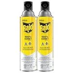 Raid Wasp and Hornet Killer, Wasp Killer Spray for Home Use Kills Bugs on Contact, Including Paper Wasps, Yellow Jackets, Mud Daubers and More, 400g Can (Pack of 2)