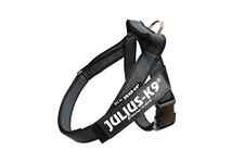 Julius-K9, IDC Color & Gray Belt Harness, Size: S / Mini, Black-Gray