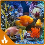 Underwater Wonders : Aquarium ambience & Relaxing Coral Reef Fish | HD 4K Videos Screensaver for Yoga, Reduce Stress, Relaxing Meditation, Relax, Study, Focus, Deep Sleep | Fire TV & Tablets - NO ADS