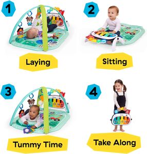 Baby Einstein 4-in-1 Musical Activity Gym – Play Mat for Infants