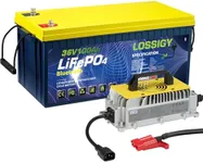 LOSSIGY 36V 100AH Golf Cart LiFePO4