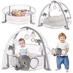 5-in-1 XL Large Baby Gym & Ball Pit