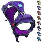 ThinkPet No Pull Harness Breathable Sport Harness with Handle - Reflective Padded Dog Safety Vest Adjustable Harness, Back /Front Clip for Easy Control L Purple