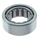 WJB WBR1561TV - Rear Wheel Cylindrical Roller Bearing - Cross Reference: National R1561TV/ Timken R1561TV/ SKF R1561TV, 1 Pack