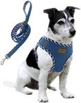 Aiminto Premium Denim Dog Harness a