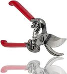 Corona BP 3180D Forged Classic Bypa