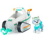 Paw Patrol Snowboards