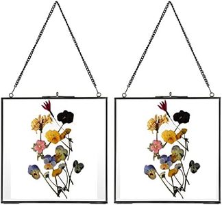 JUXYES Set